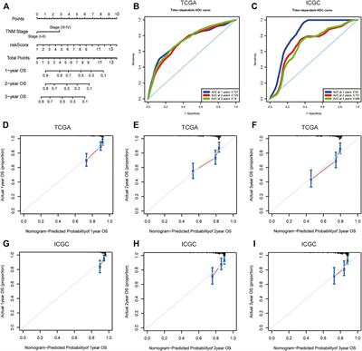 An m6A-Related lncRNA Signature Predicts the Prognosis of Hepatocellular Carcinoma